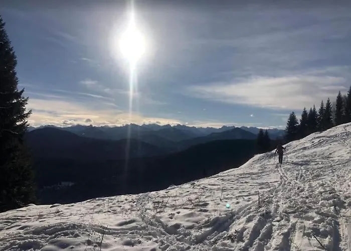 Neu: Alpen-chalet Seekarblick Mit Pool Dağ evi Lenggries